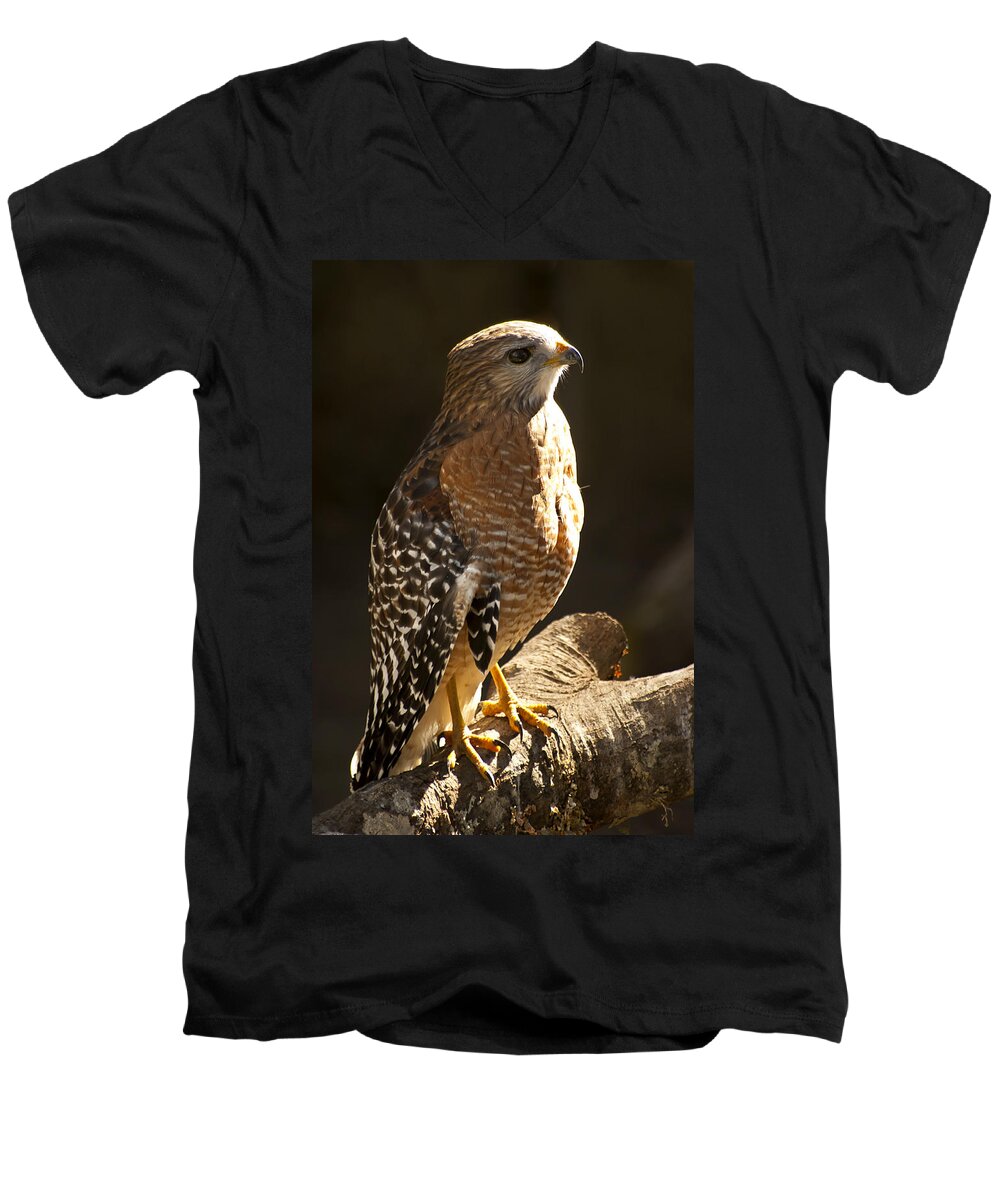Red-shouldered Hawk Men's V-Neck T-Shirt featuring the photograph Red-Shouldered Hawk by Carolyn Marshall