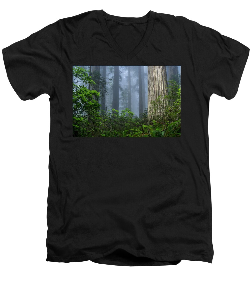 Redwoods Men's V-Neck T-Shirt featuring the photograph Redwoods in Blue Fog by Greg Nyquist
