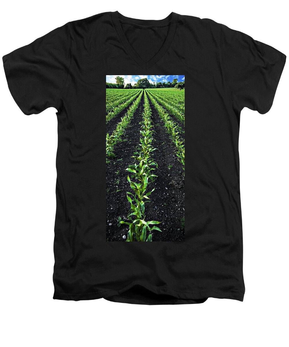 Corn Men's V-Neck T-Shirt featuring the photograph Regiment by Meirion Matthias