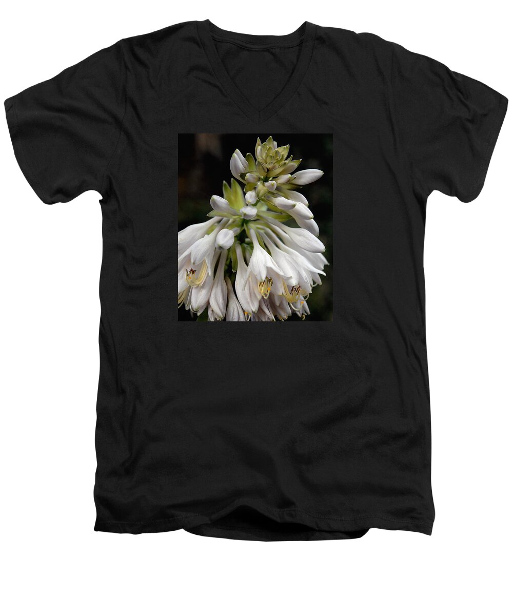 Hosta Men's V-Neck T-Shirt featuring the photograph Renaissance Lily by Marie Hicks
