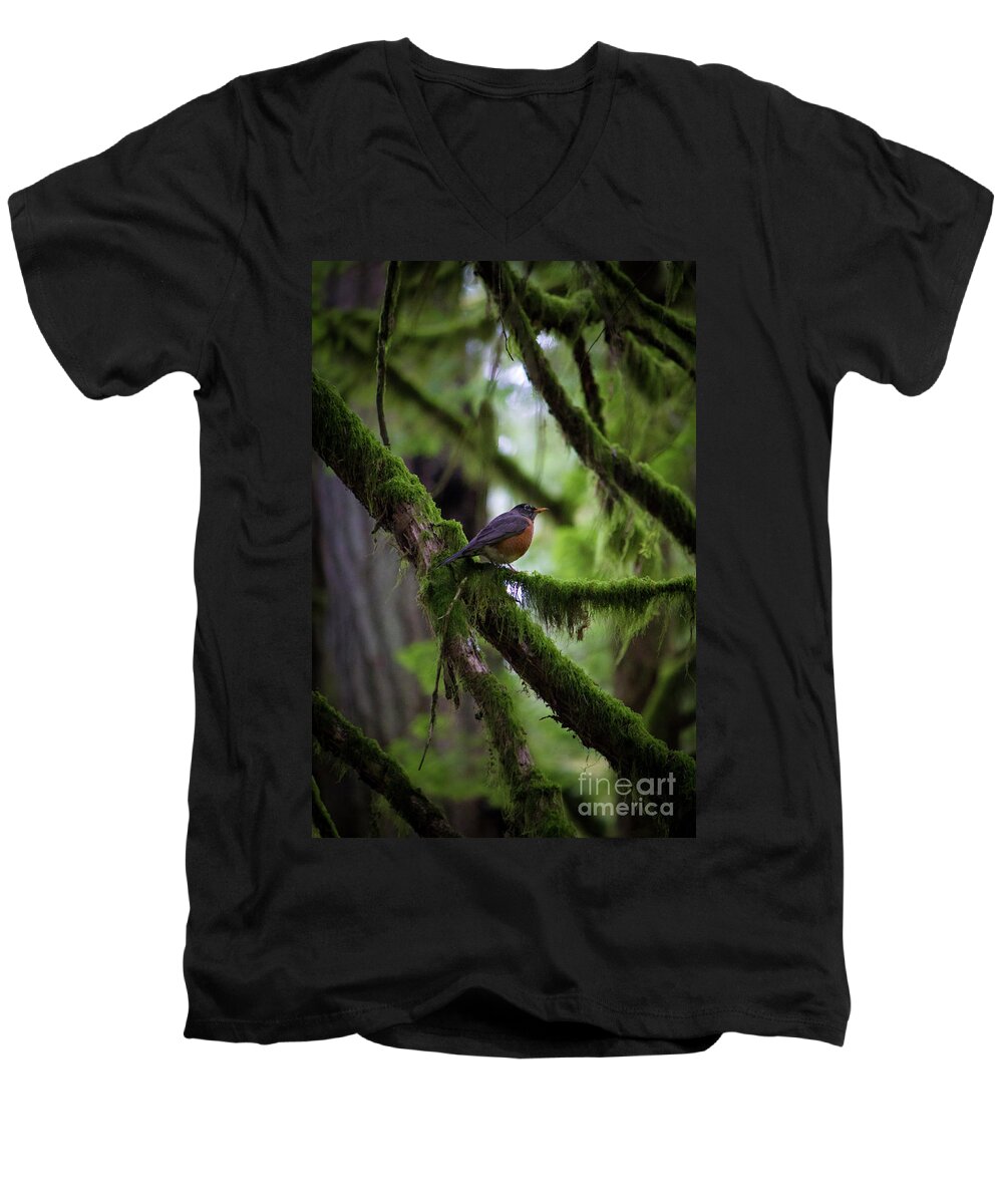 Cathedral Grove Men's V-Neck T-Shirt featuring the photograph Robin Vignette by Donna L Munro