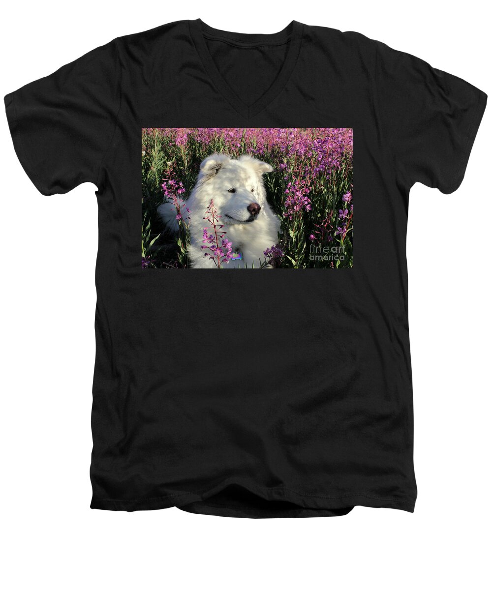 Samoyed Men's V-Neck T-Shirt featuring the photograph Shadows by Fiona Kennard