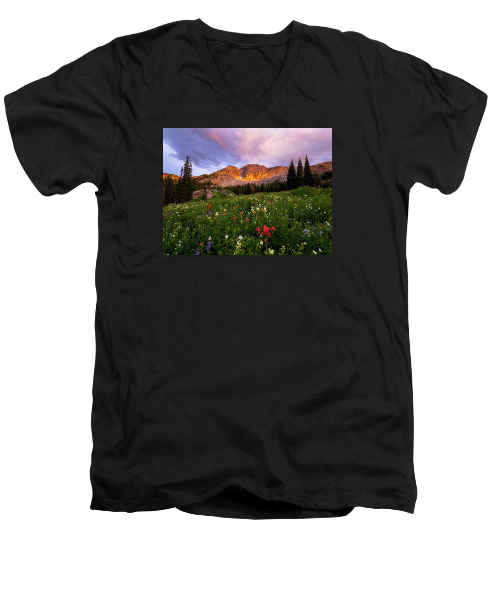 Albion Basin Men's V-Neck T-Shirt featuring the photograph Silent Stirrings by Emily Dickey