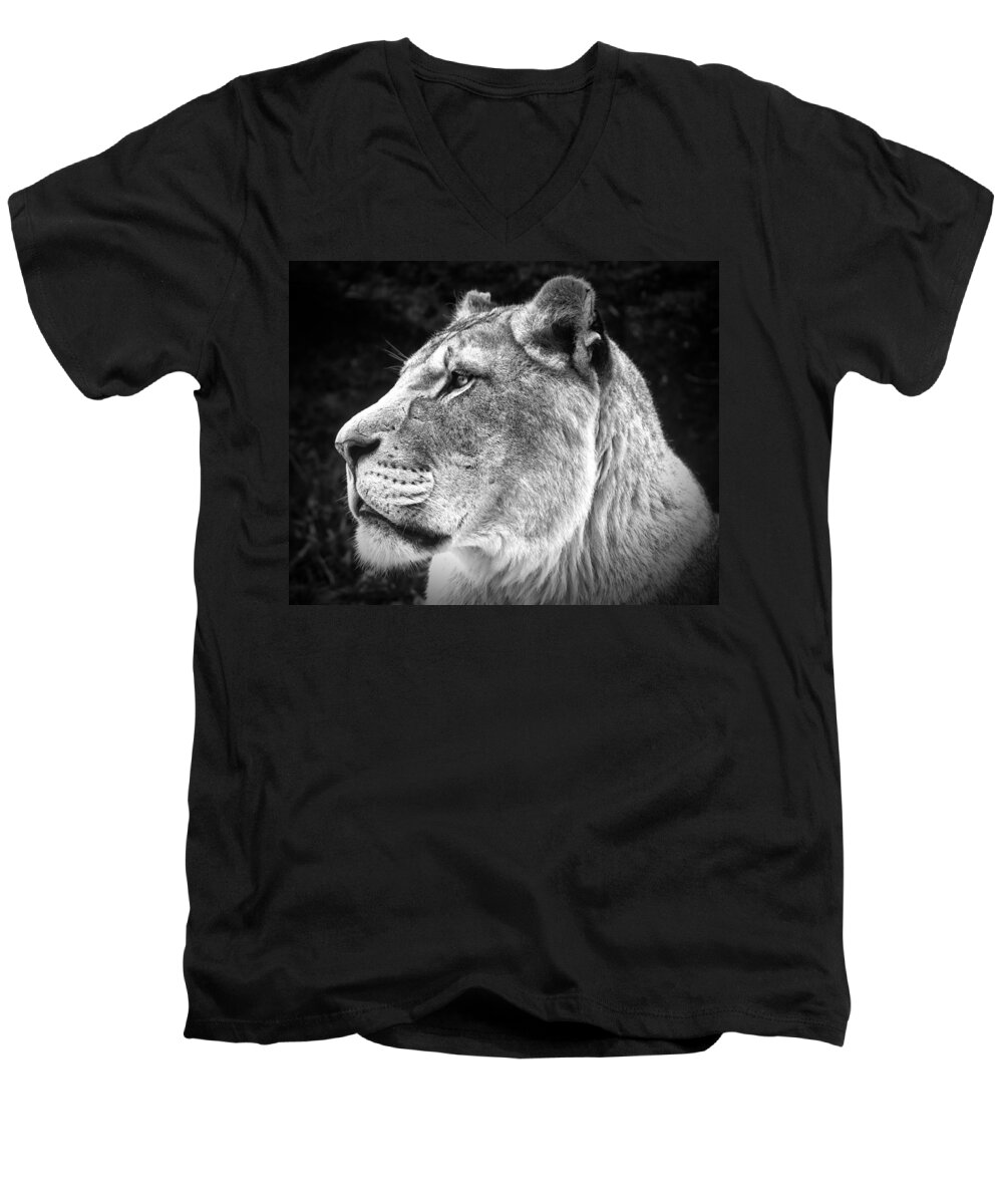 Photo Men's V-Neck T-Shirt featuring the photograph Silver Lioness by Chris Boulton