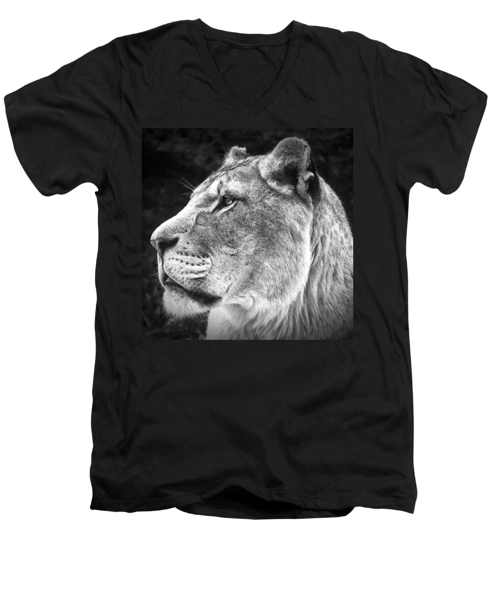 Silver Men's V-Neck T-Shirt featuring the photograph Silver Lioness - SquareFormat by Chris Boulton