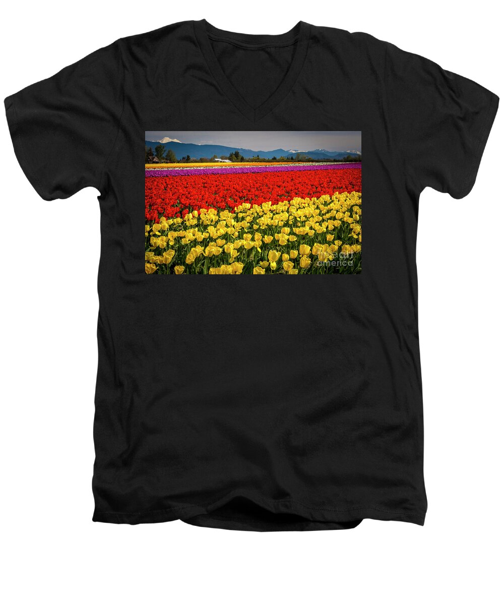 Tulips Men's V-Neck T-Shirt featuring the photograph Skagit Valley Tulips by Sal Ahmed