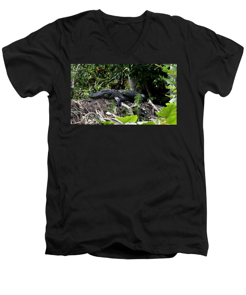 American Alligator Men's V-Neck T-Shirt featuring the photograph Sleeping Alligator by Barbara Bowen