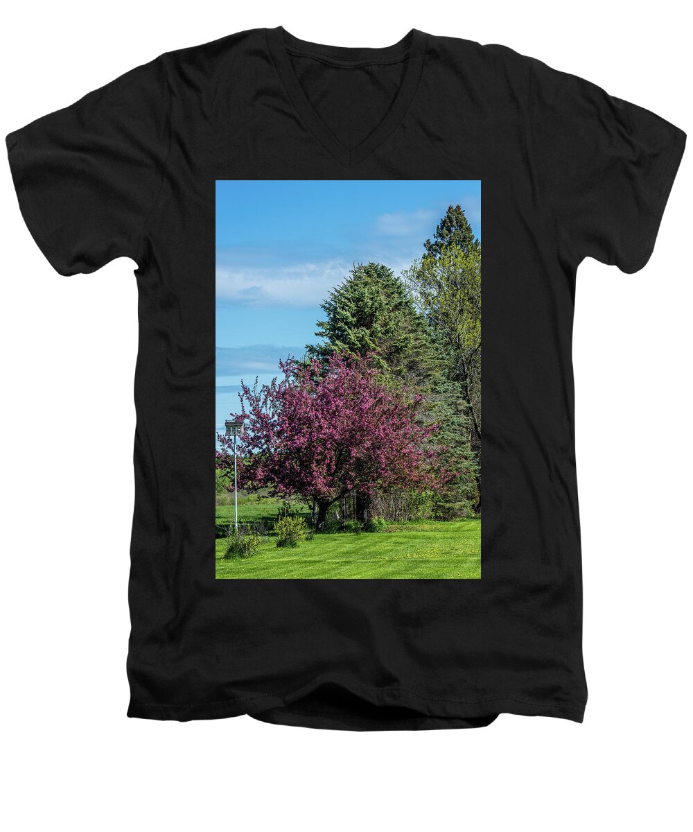 Spring Men's V-Neck T-Shirt featuring the photograph Spring Blossoms by Paul Freidlund