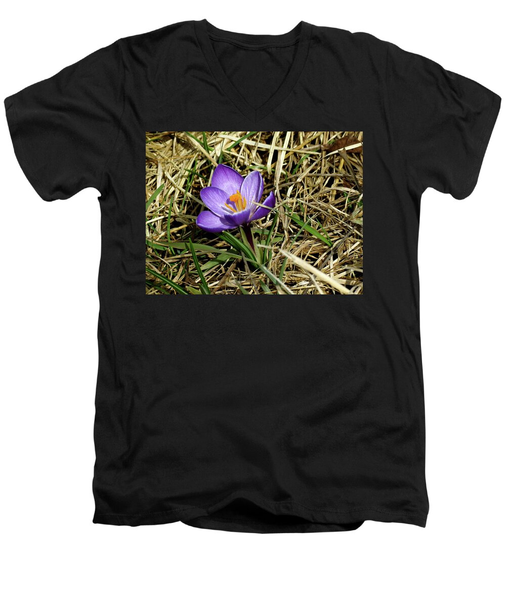 Crocus Men's V-Neck T-Shirt featuring the photograph Spring Crocus by Azthet Photography
