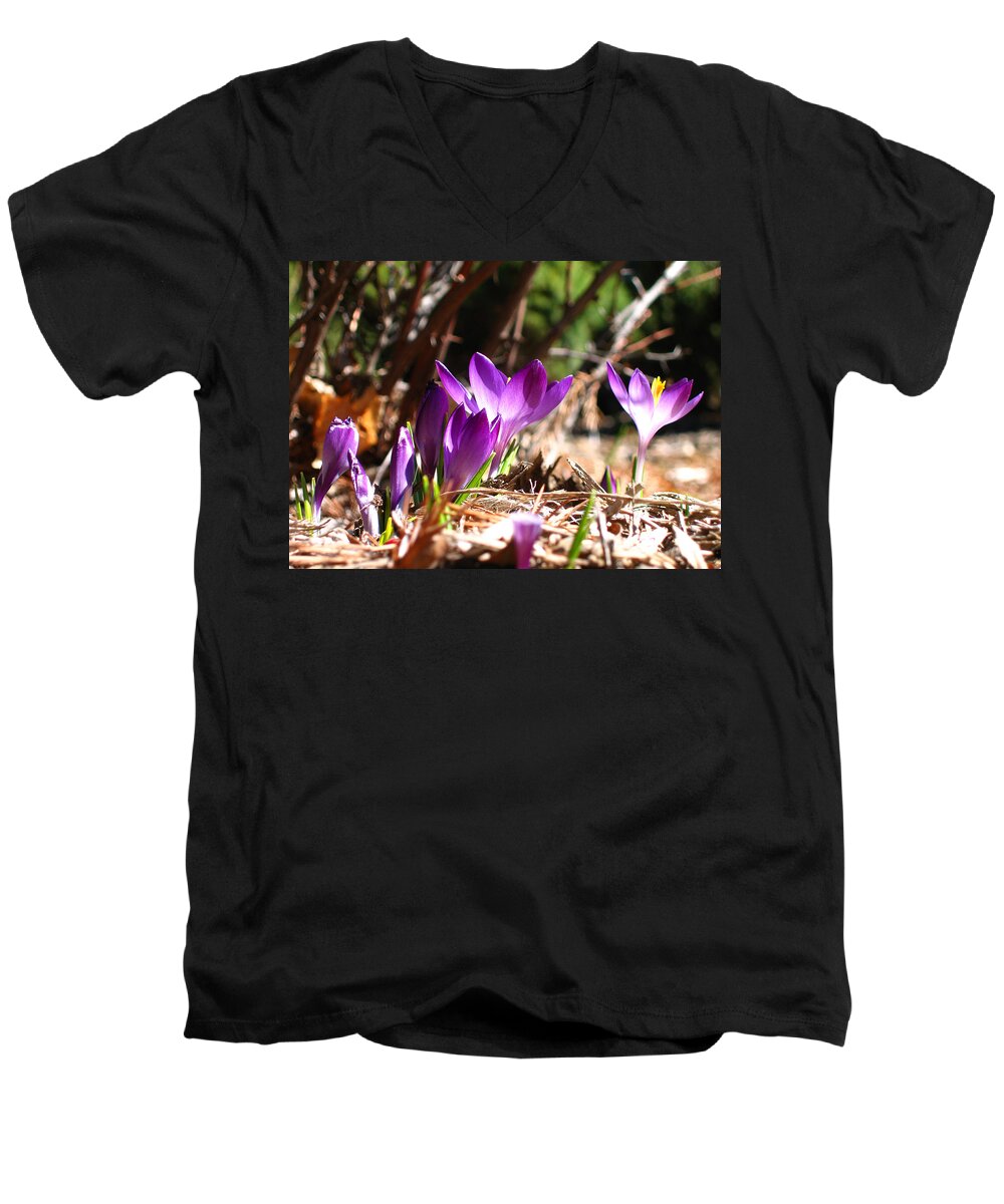 Spring Men's V-Neck T-Shirt featuring the photograph Springtime by Laura Kinker