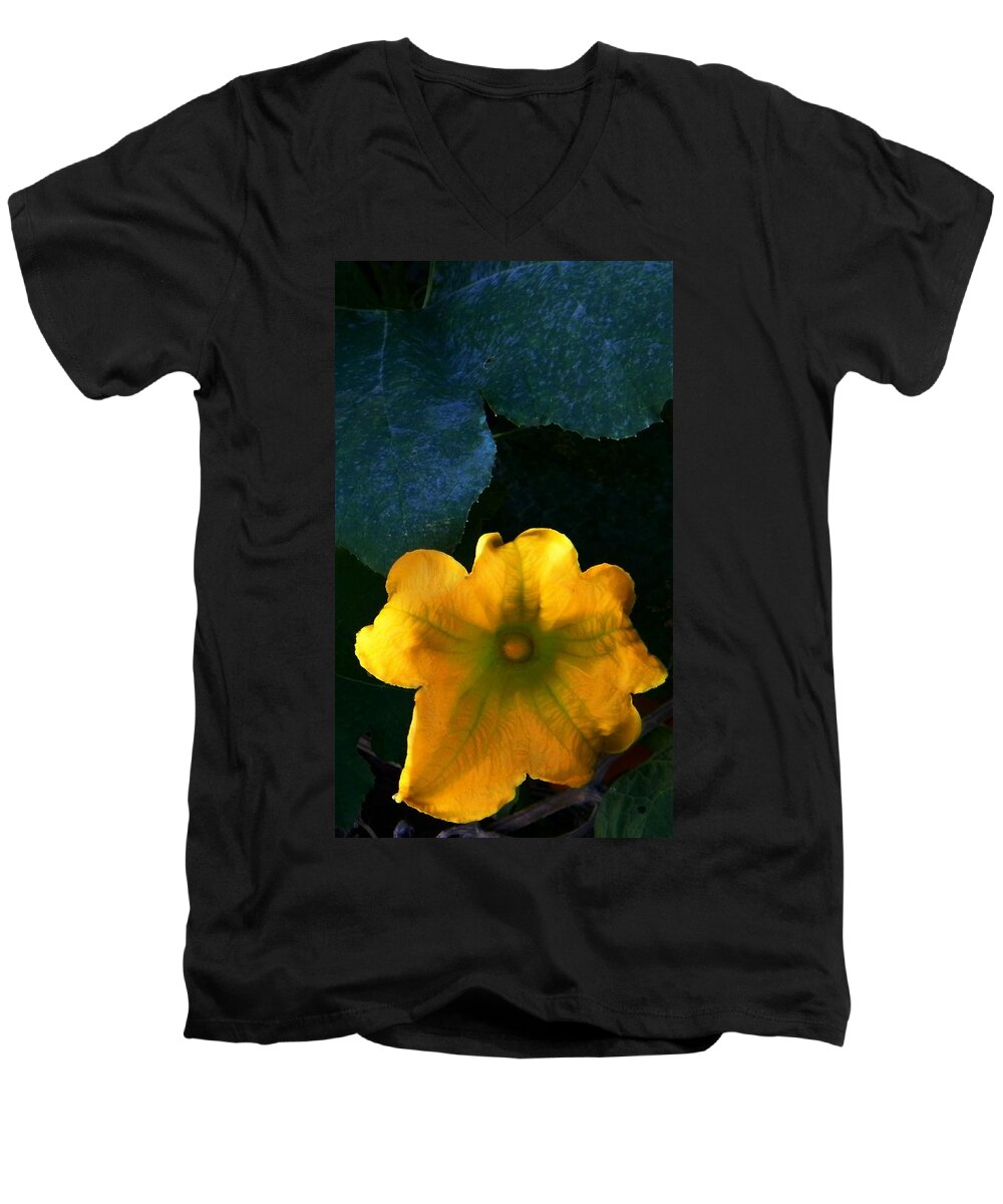 Colors Men's V-Neck T-Shirt featuring the photograph Squash Blossom by Lenore Senior