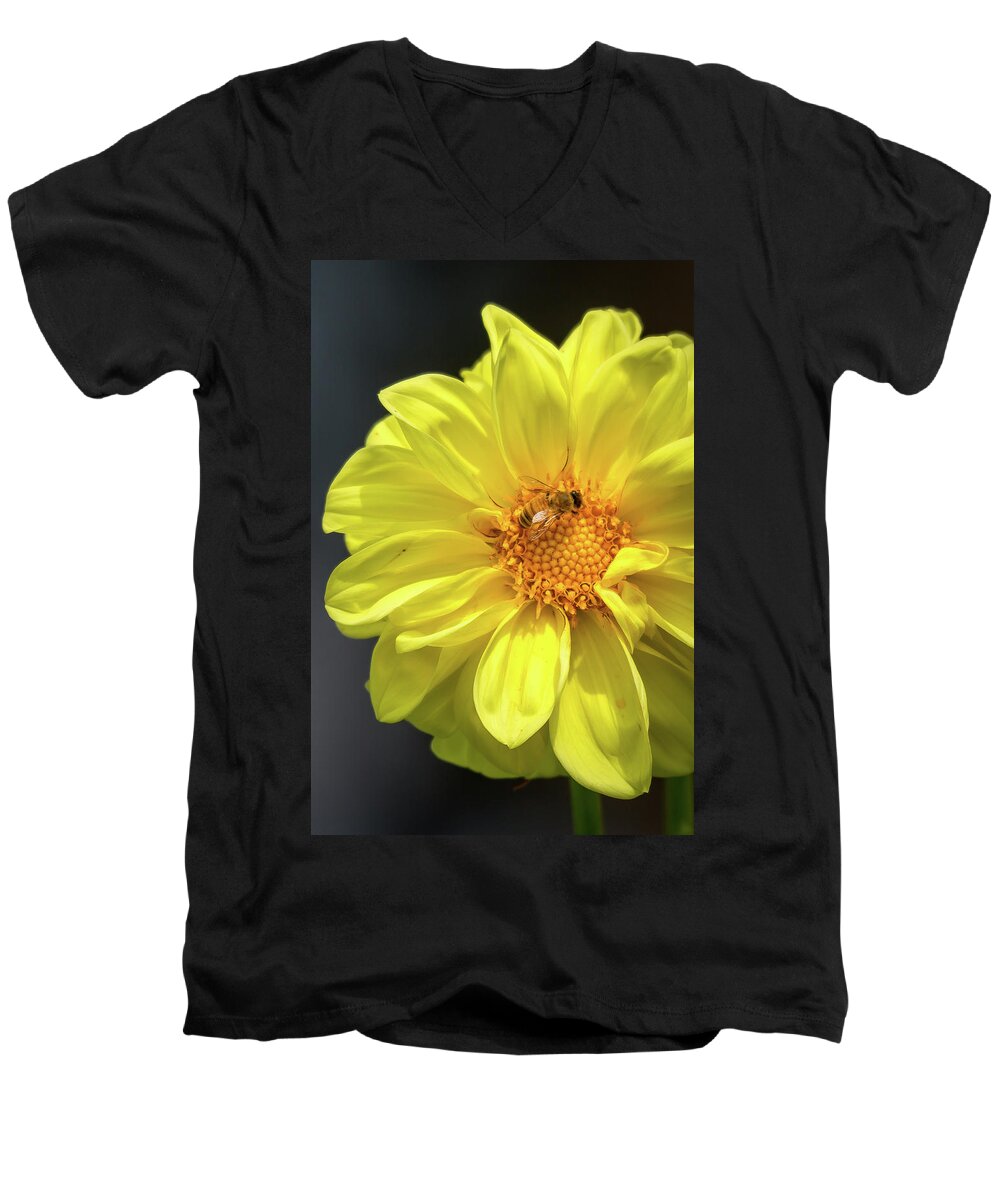Yellow Men's V-Neck T-Shirt featuring the photograph Still Pollinating by The Flying Photographer