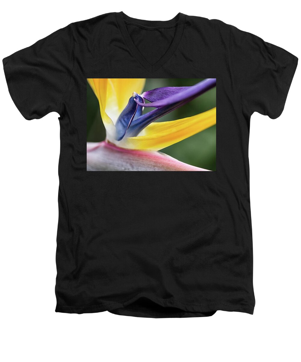 Petal Men's V-Neck T-Shirt featuring the photograph Strelitzia by Shirley Mitchell