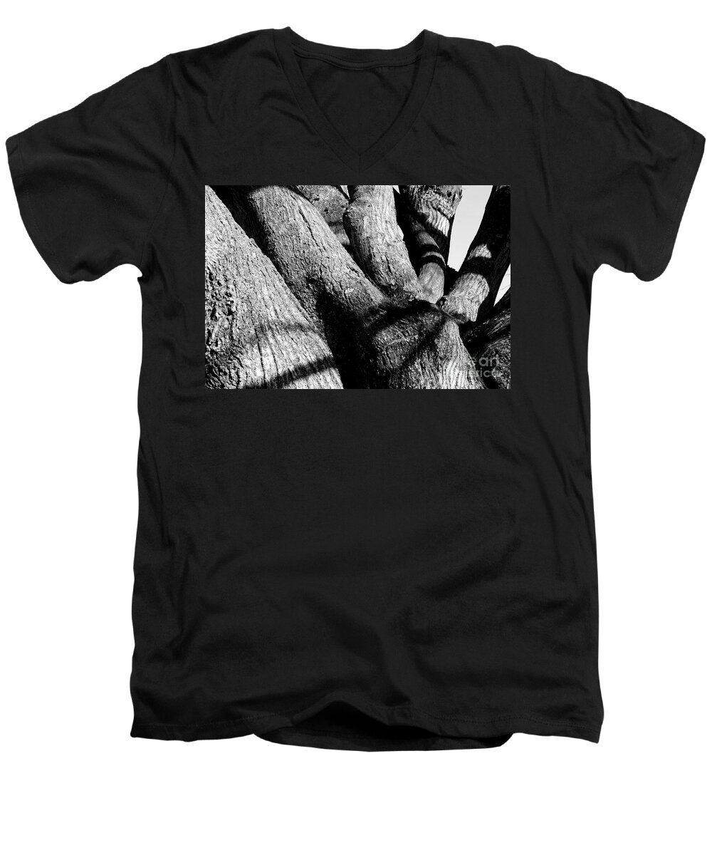Tree Structure Men's V-Neck T-Shirt featuring the photograph Structure by Steven Macanka
