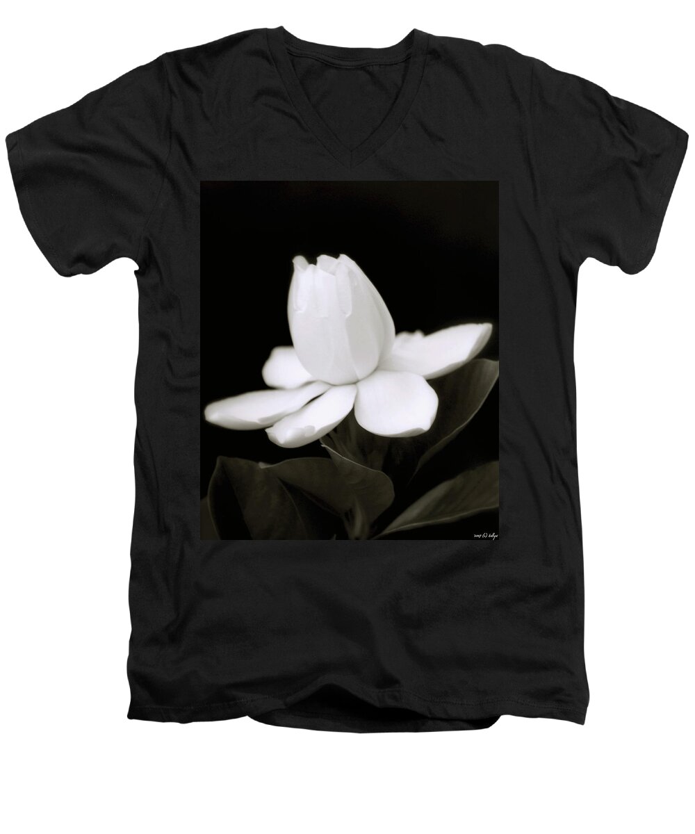 Flower Men's V-Neck T-Shirt featuring the photograph Summer Fragrance by Holly Kempe