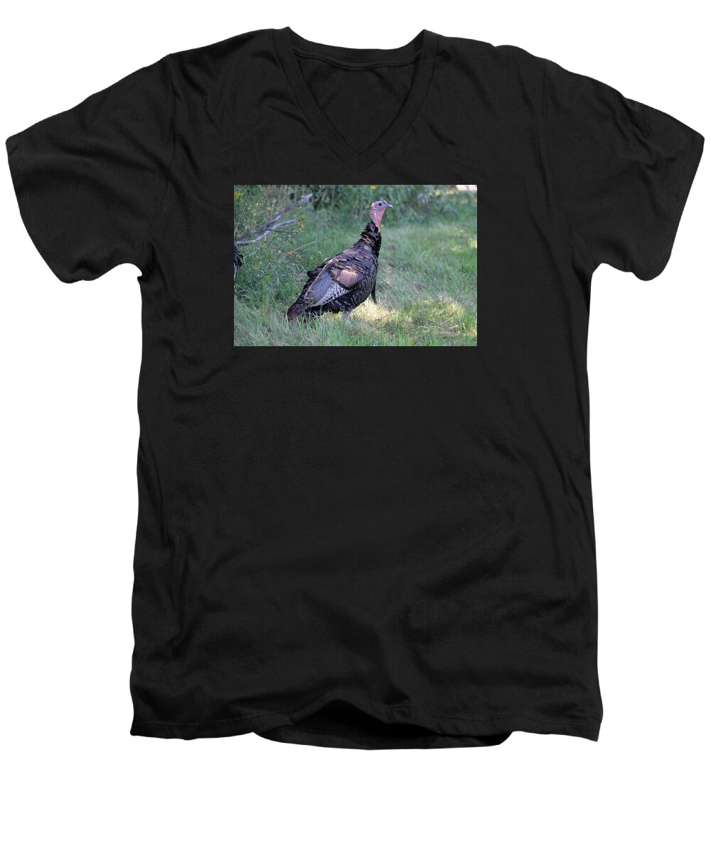 Wild Turkey Men's V-Neck T-Shirt featuring the photograph Surveying The Area by Doris Potter