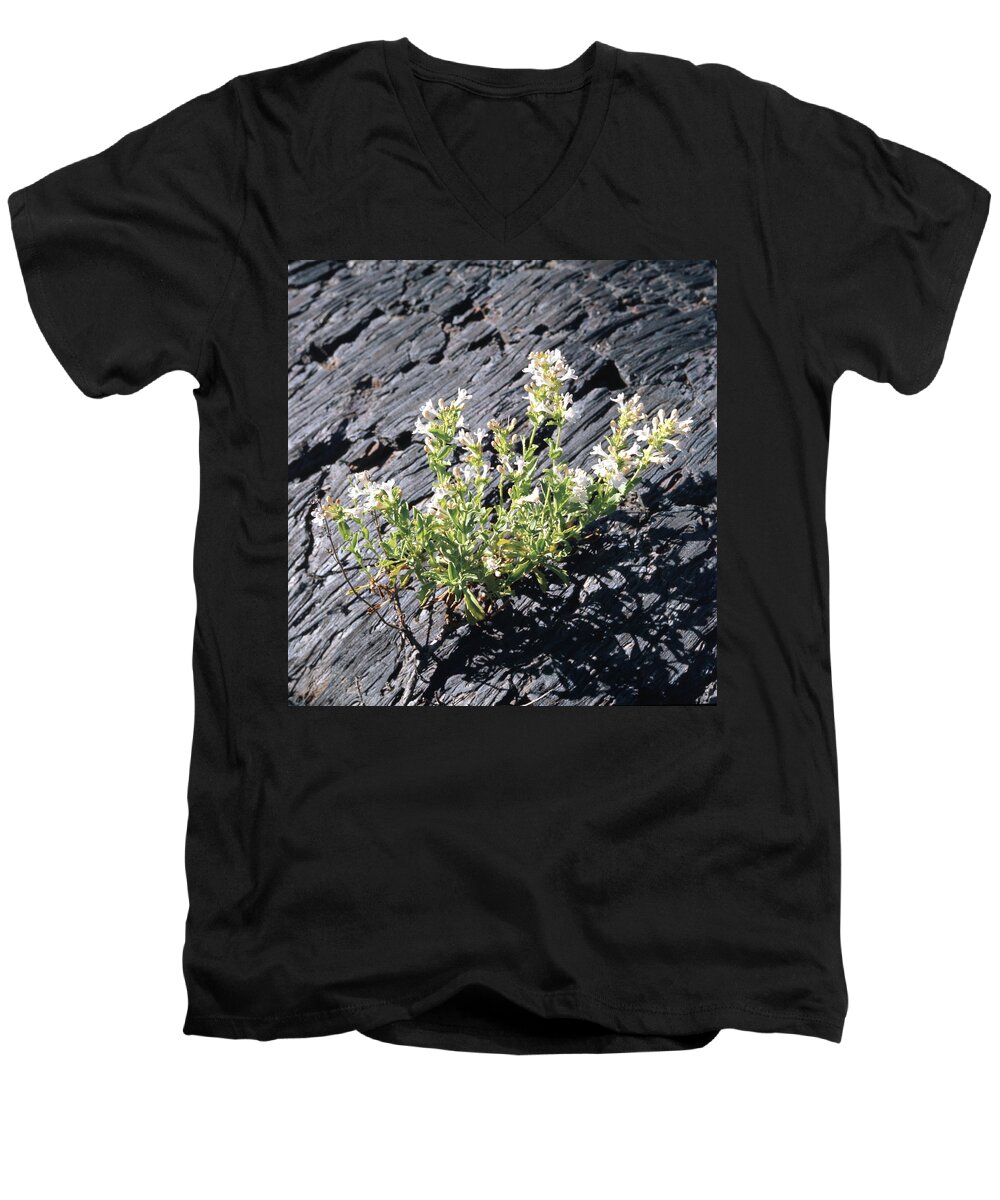 Hot Rock Penstemon Men's V-Neck T-Shirt featuring the photograph T-107709 Hot Rock Penstemon by Ed Cooper Photography