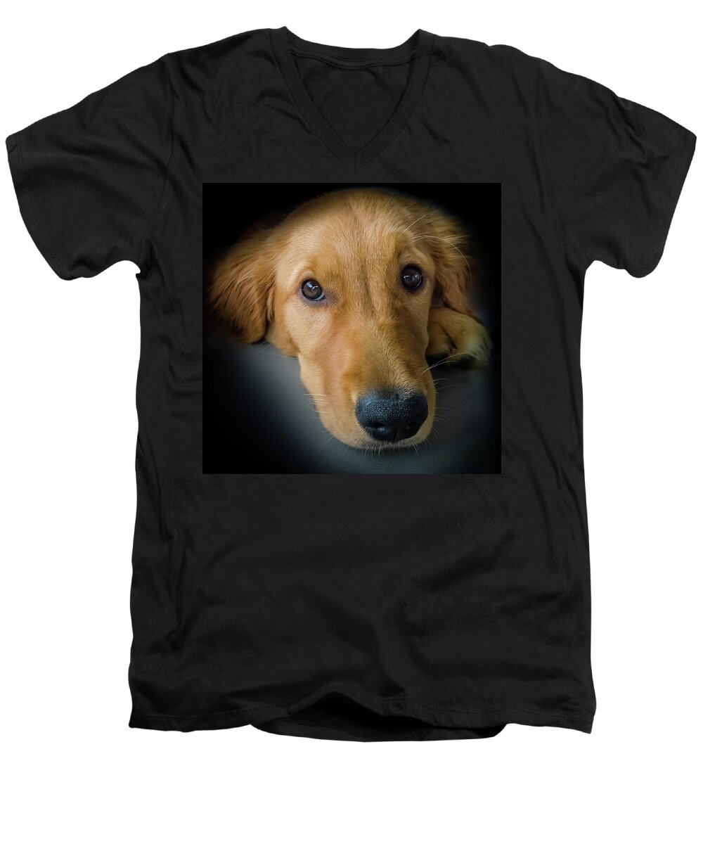 Golden Retriever Puppies Men's V-Neck T-Shirt featuring the photograph Thanks For Picking Me by Karen Wiles