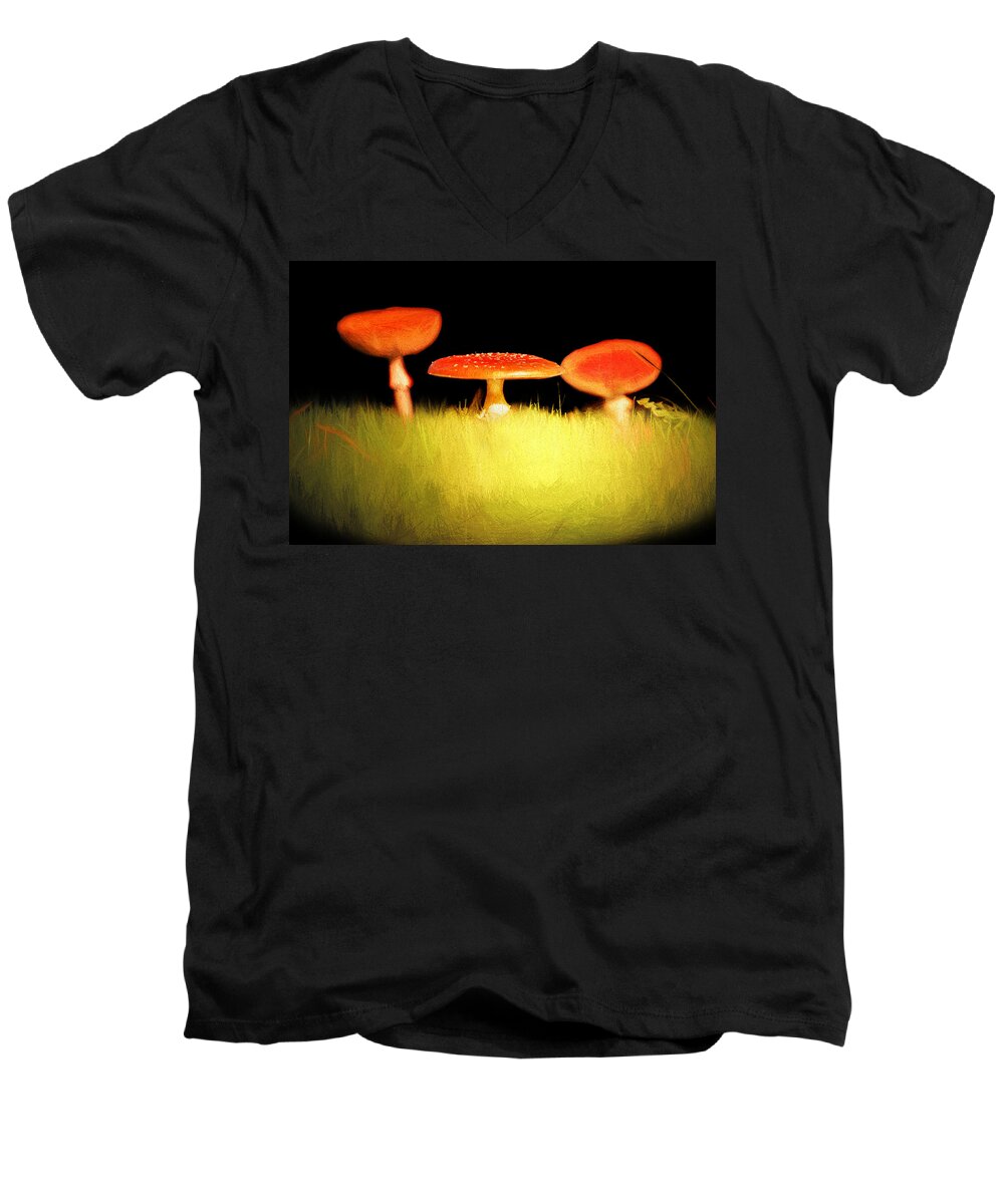 Toadstool Men's V-Neck T-Shirt featuring the photograph The Sisters by Jaroslav Buna