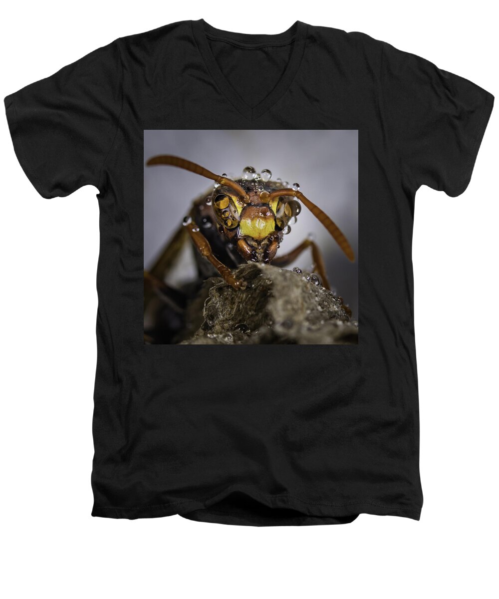 Macro Men's V-Neck T-Shirt featuring the photograph The Wasp by Chris Cousins