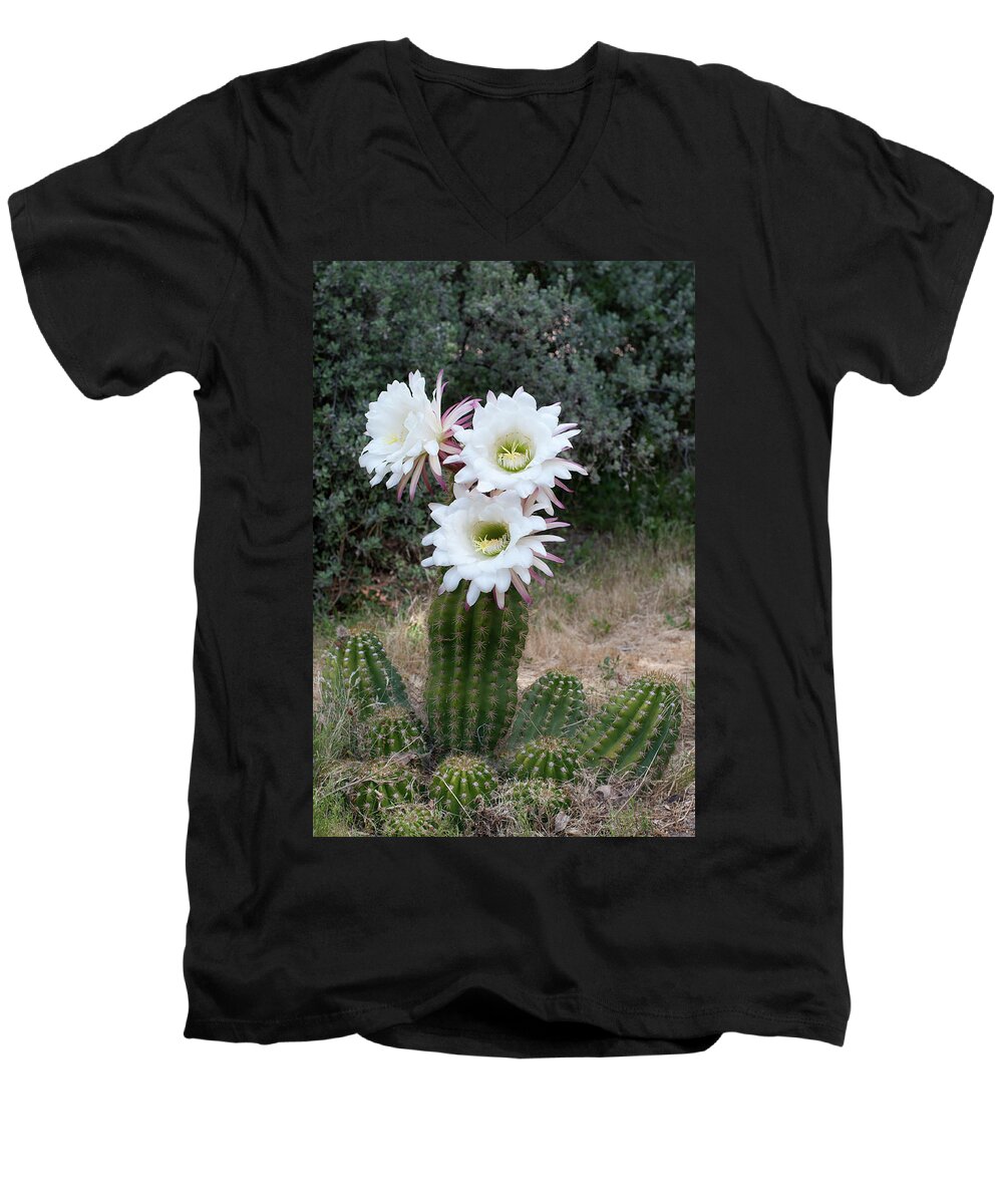 Arizona Men's V-Neck T-Shirt featuring the photograph Three Blossoms by Monte Stevens