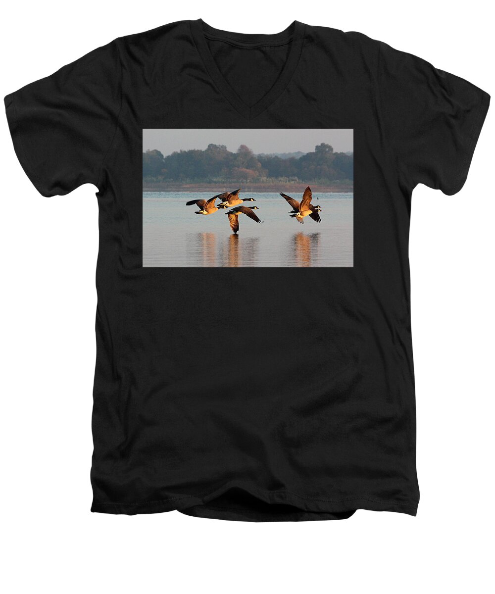 Nature Men's V-Neck T-Shirt featuring the photograph Touching Down at Sunrise by Sheila Brown