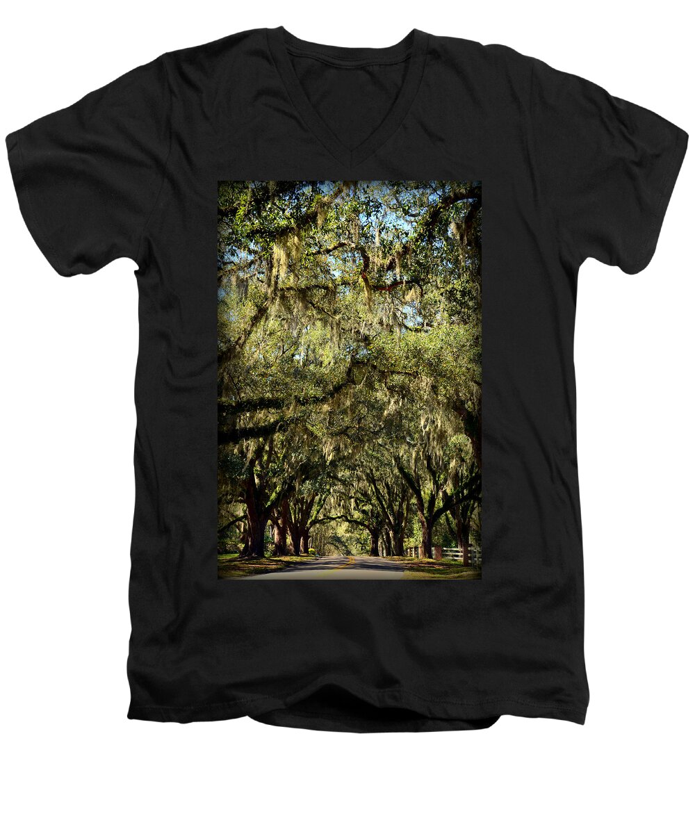 Live Men's V-Neck T-Shirt featuring the photograph Towering Canopy by Carla Parris