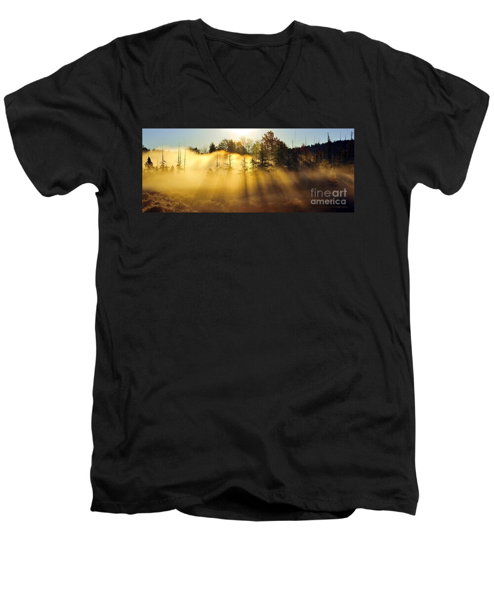 Trees Men's V-Neck T-Shirt featuring the photograph Treetop Shadows by Terri Gostola