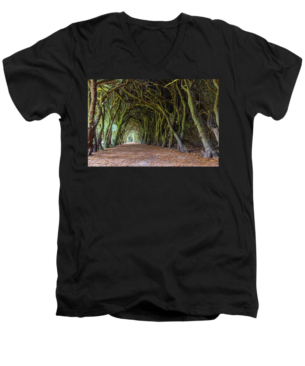 Campus Men's V-Neck T-Shirt featuring the photograph Tunnel of intertwined Yew trees by Semmick Photo