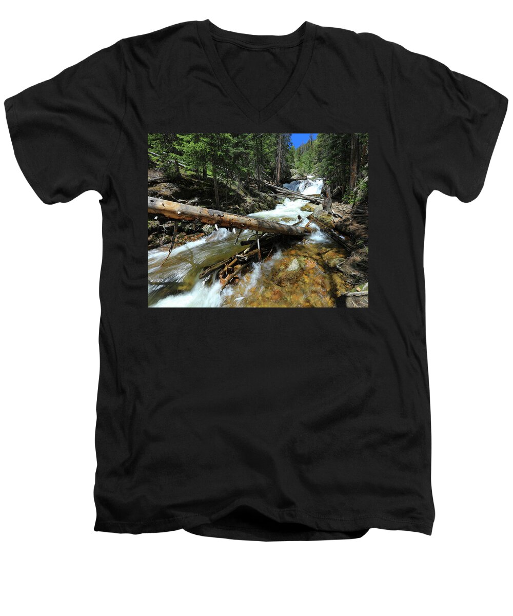Rocky Men's V-Neck T-Shirt featuring the photograph Up a Tree by Sean Allen
