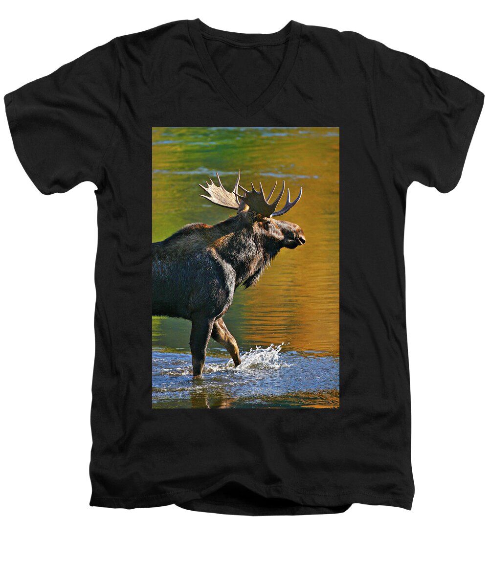 Bull Men's V-Neck T-Shirt featuring the photograph Wading Moose by Wesley Aston