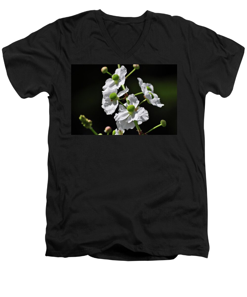 White Men's V-Neck T-Shirt featuring the photograph White and Green Wildflowers by Frances Ann Hattier