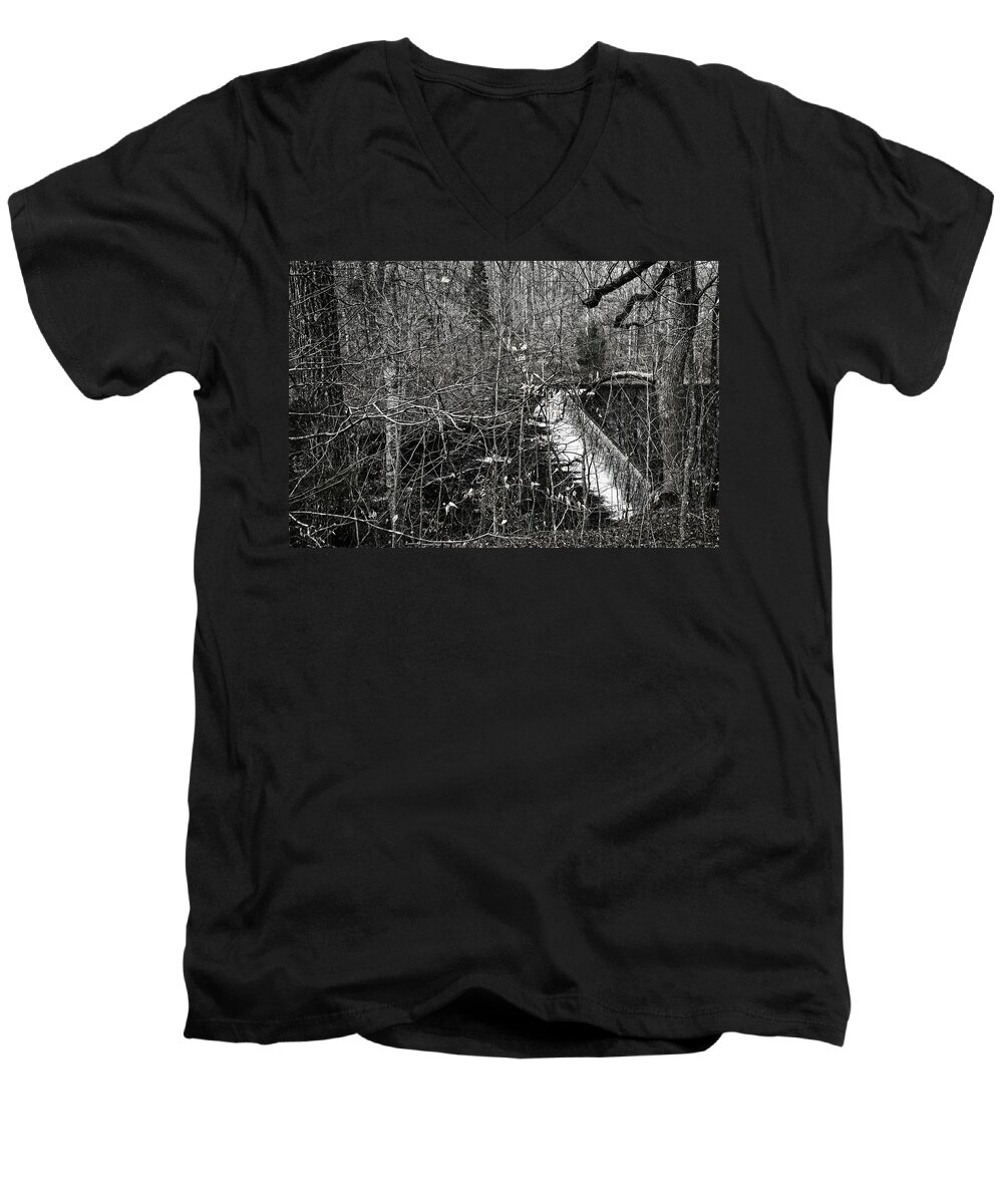 Forest Men's V-Neck T-Shirt featuring the photograph Winter Woods by George Taylor
