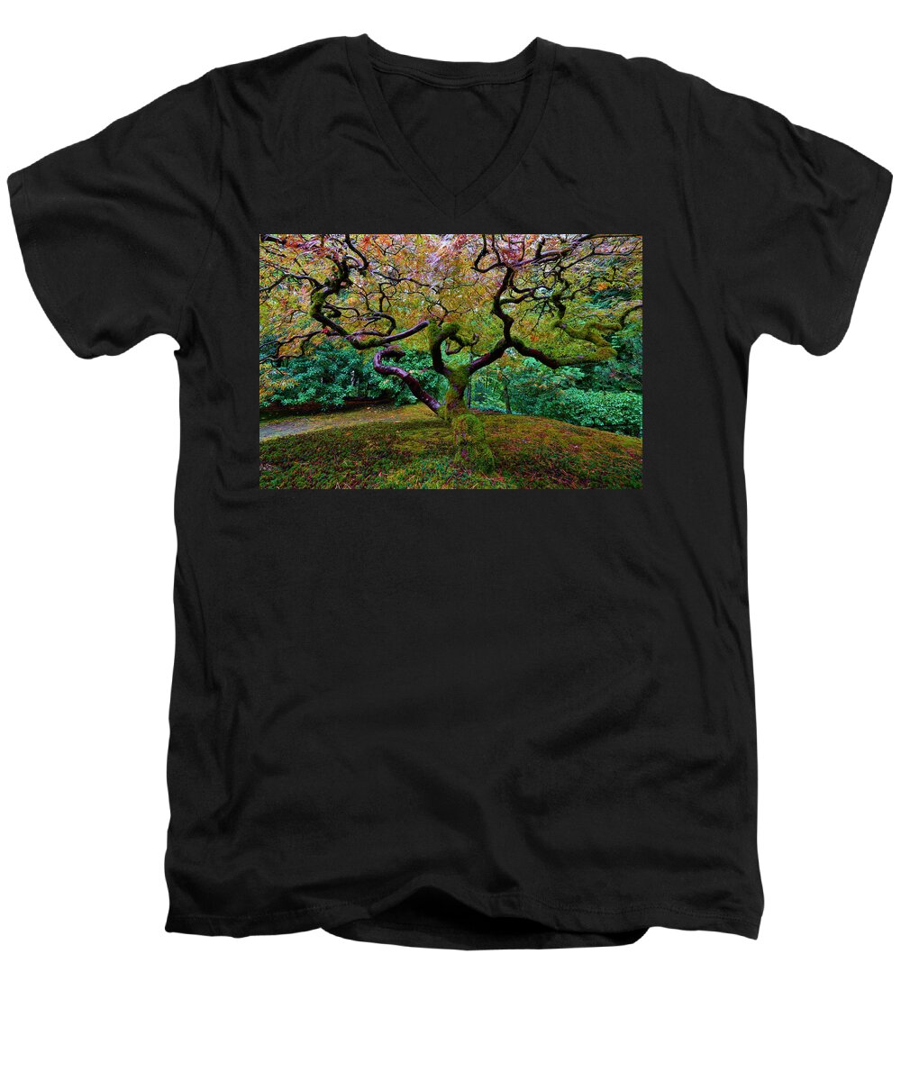 Japanese Maple Men's V-Neck T-Shirt featuring the photograph Wisdom Tree by Jonathan Davison