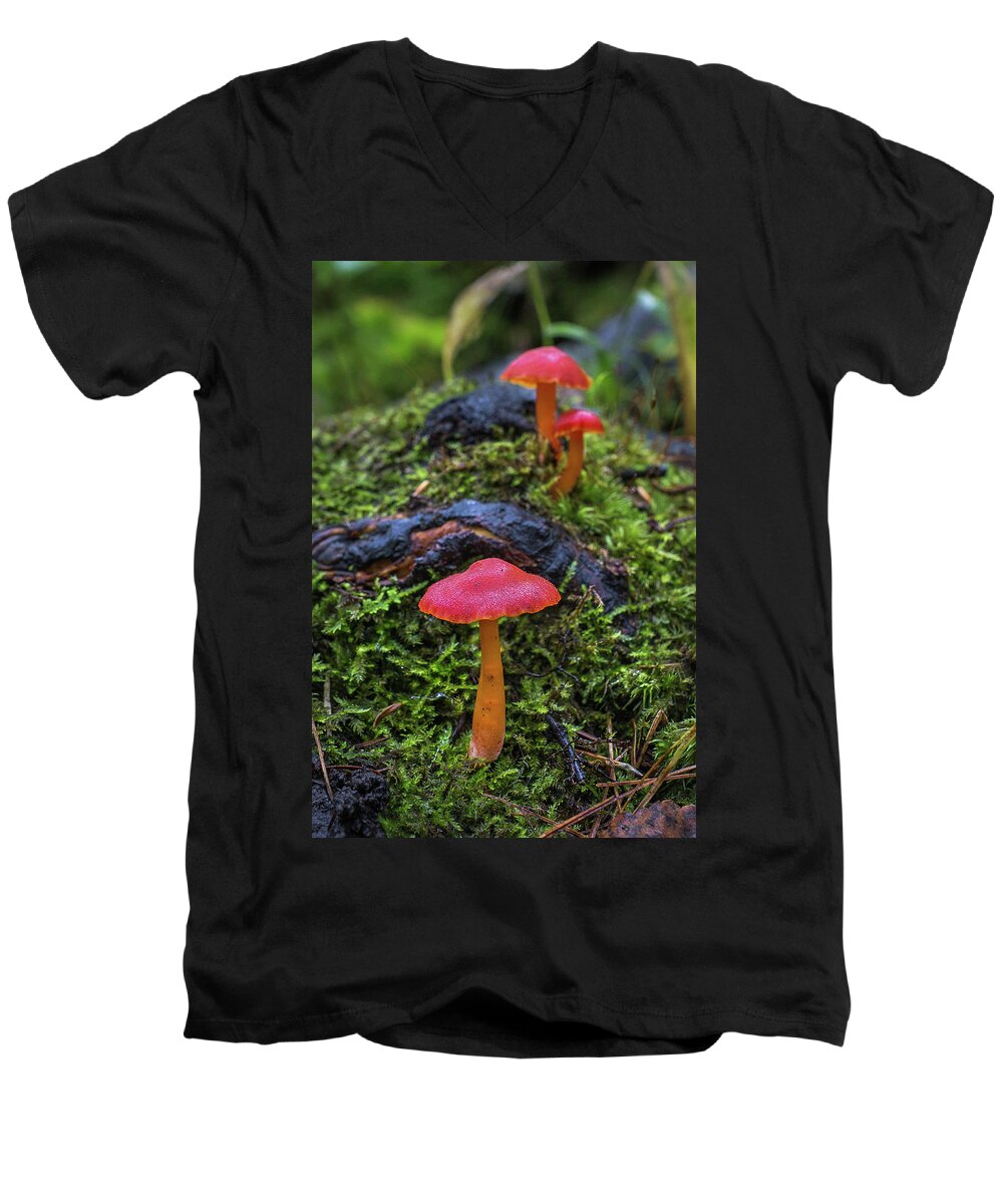 Bill Pevlor Men's V-Neck T-Shirt featuring the photograph Woodland Floor Decor by Bill Pevlor