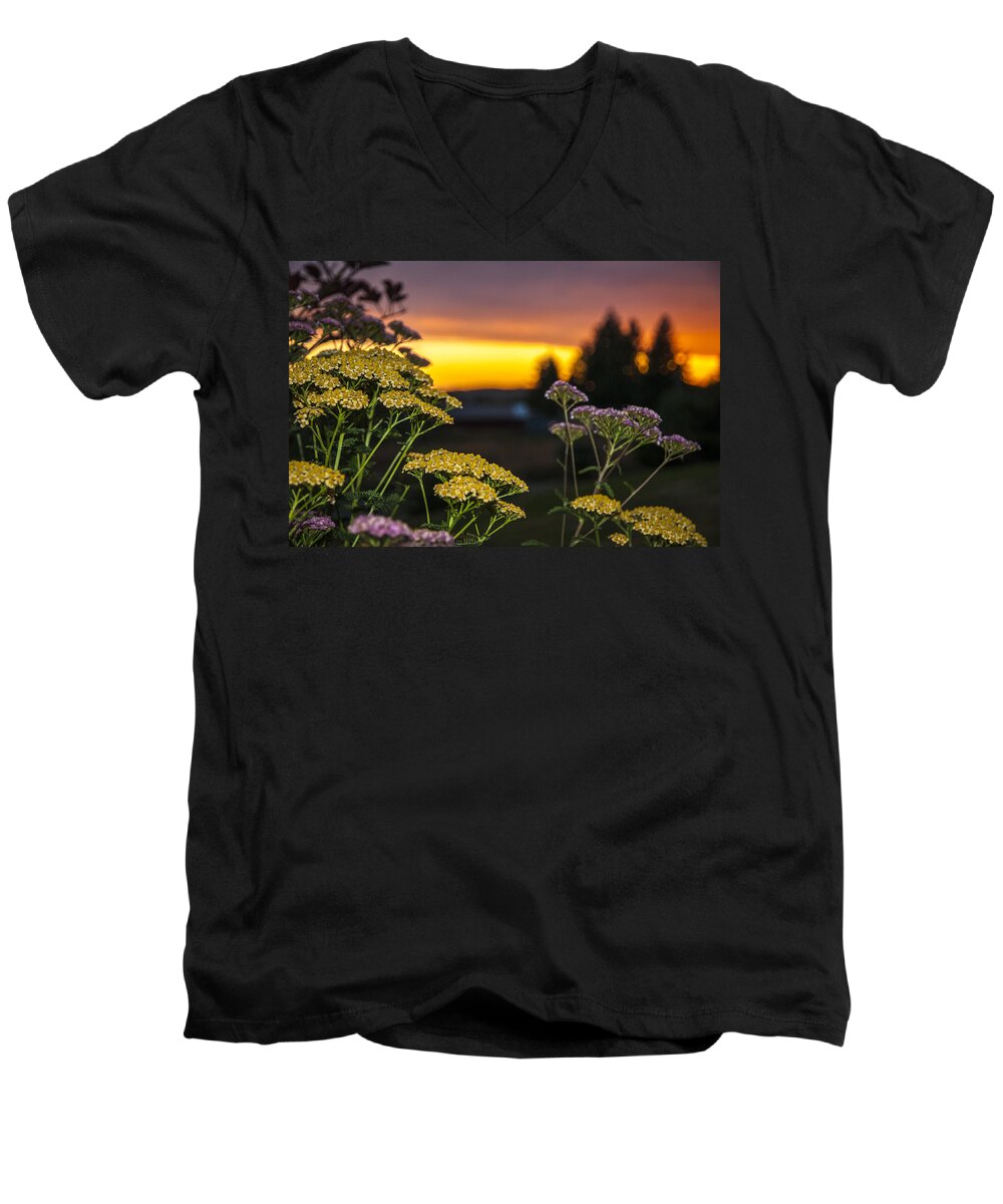 Sunset Men's V-Neck T-Shirt featuring the photograph Yarrow at Sunset by Robert Potts