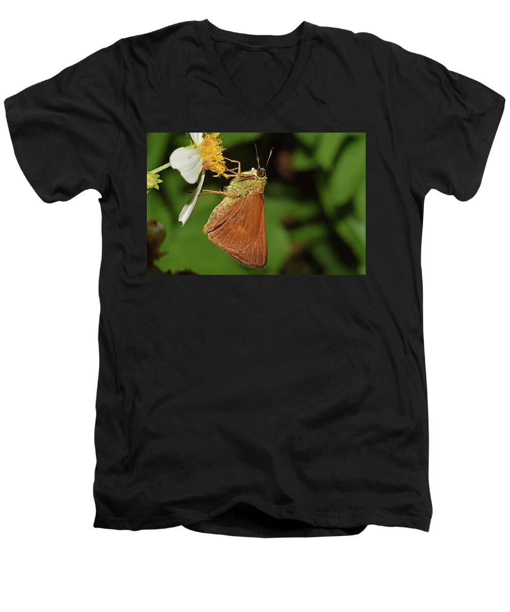 Photograph Men's V-Neck T-Shirt featuring the photograph Skipper Butterfly #3 by Larah McElroy
