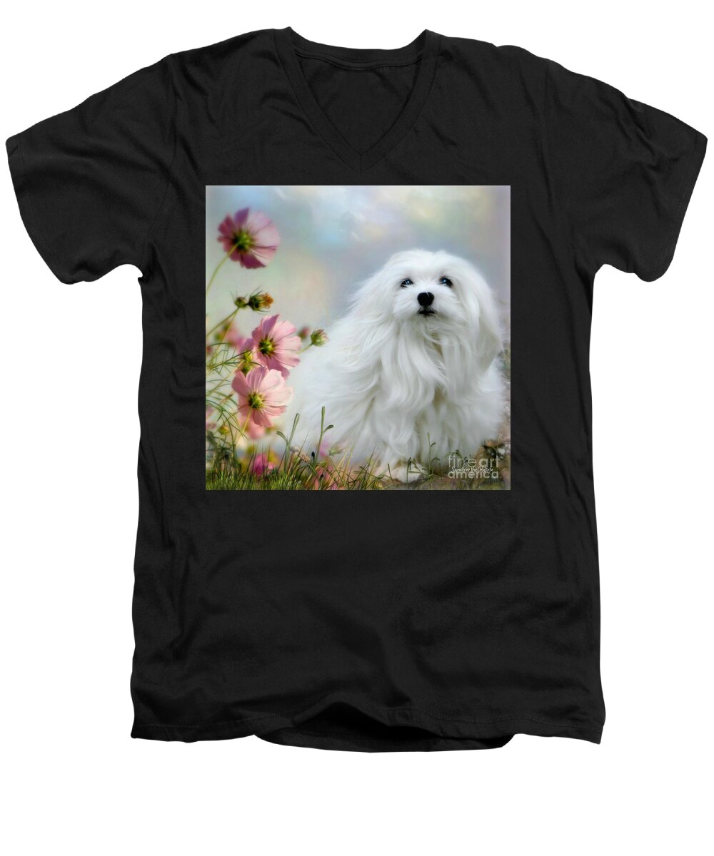 Snowdrop The Maltese Men's V-Neck T-Shirt featuring the photograph A Soft Summer Breeze by Morag Bates