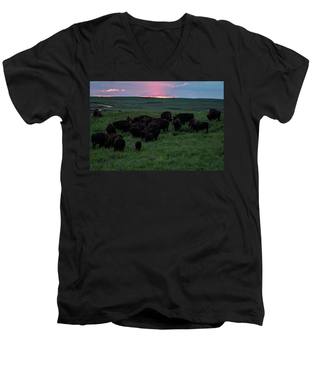 Jay Stockhaus Men's V-Neck T-Shirt featuring the photograph Bison at Sunset by Jay Stockhaus