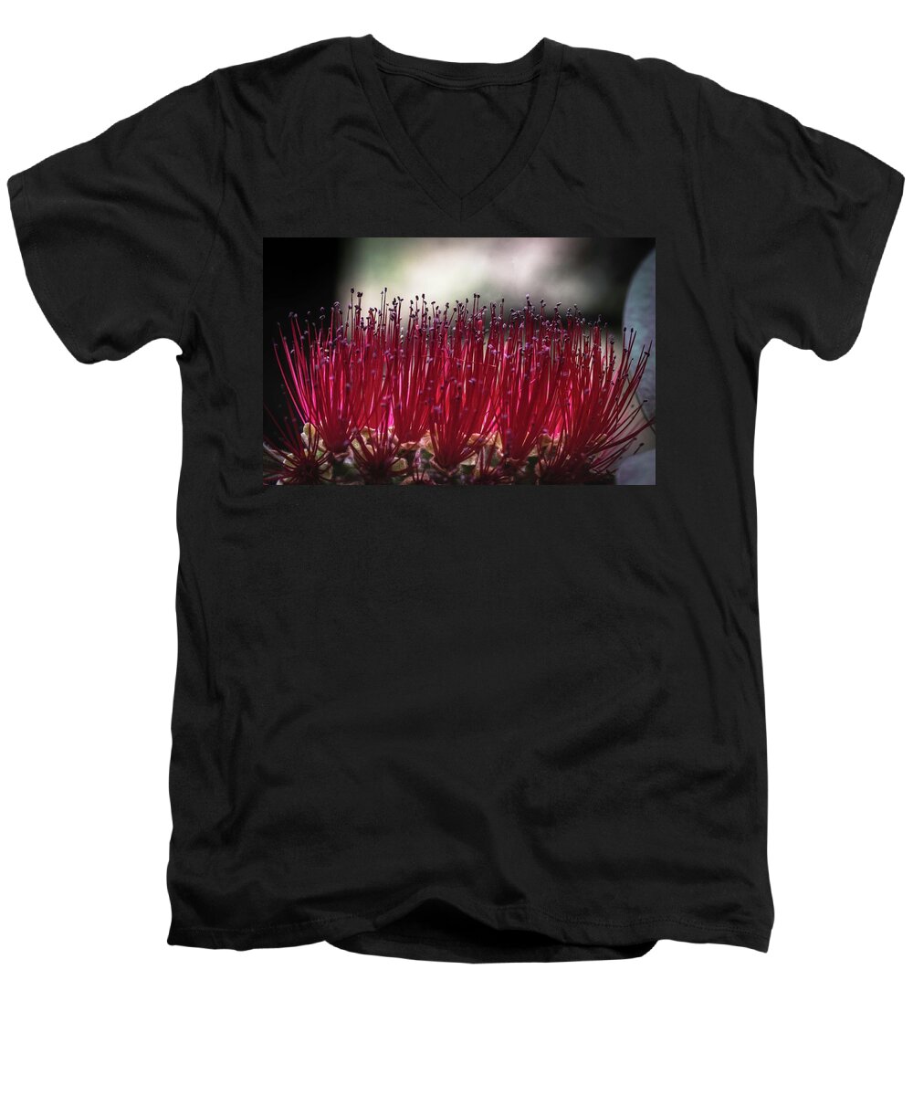 Outdoors Men's V-Neck T-Shirt featuring the photograph Brush flower by Silvia Marcoschamer