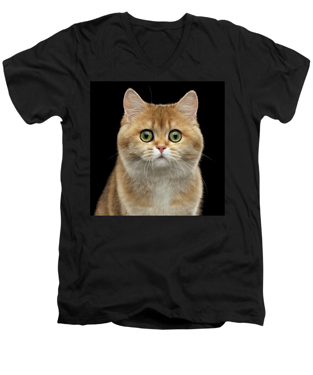 British Men's V-Neck T-Shirt featuring the photograph Close-up portrait of Golden British Cat with green eyes by Sergey Taran