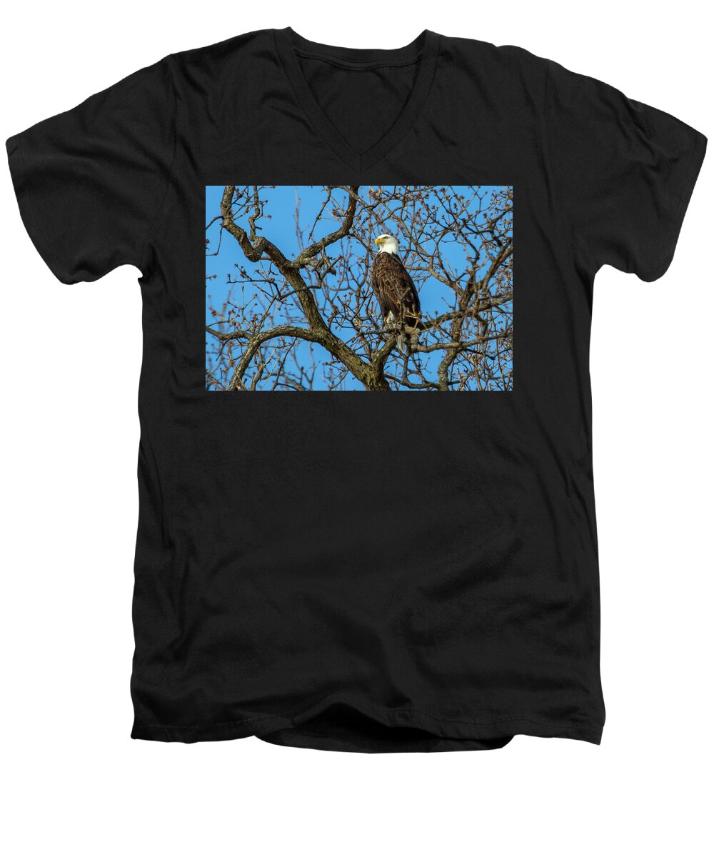 Eagle Men's V-Neck T-Shirt featuring the photograph Eagle Watch by David Wagenblatt