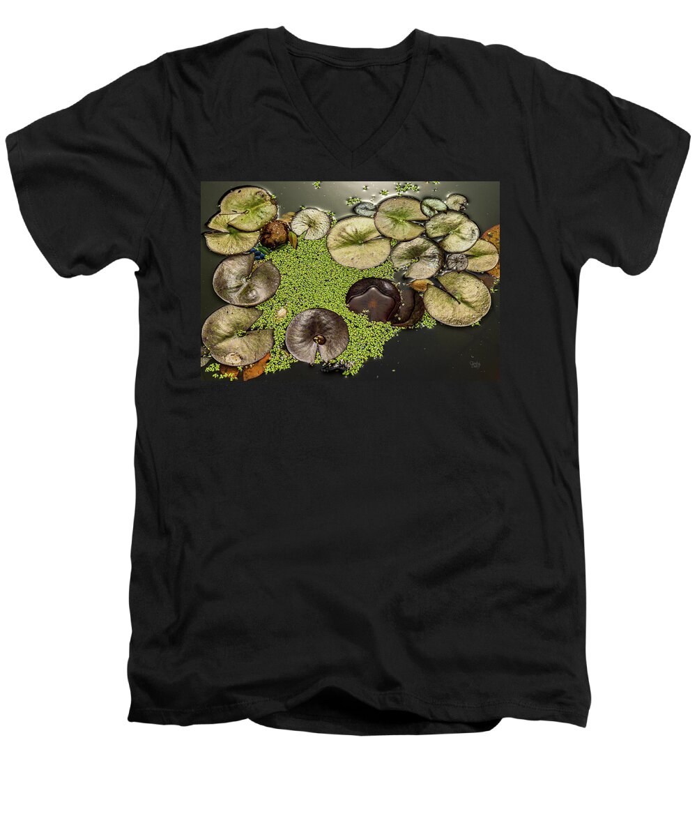 Landscapes Men's V-Neck T-Shirt featuring the photograph Japanese Garden-5 by Claude Dalley