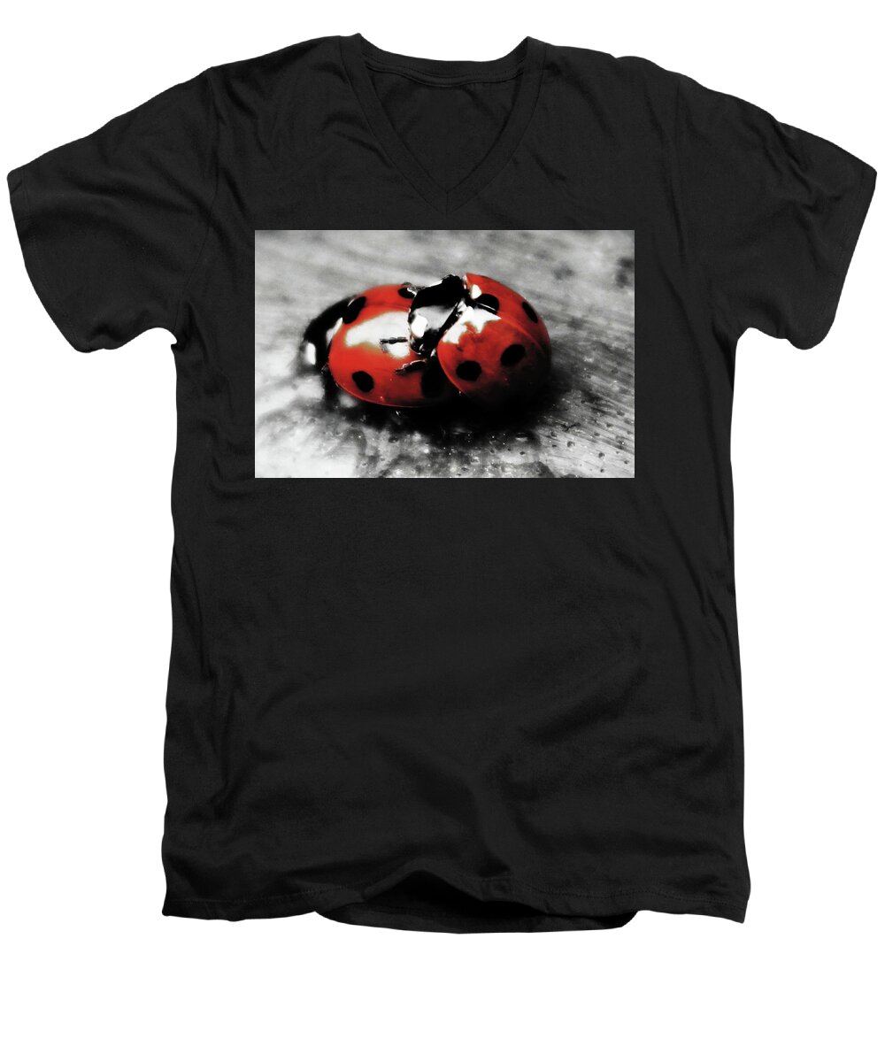 Nature Men's V-Neck T-Shirt featuring the photograph Lady Bug Loving by Martin Newman