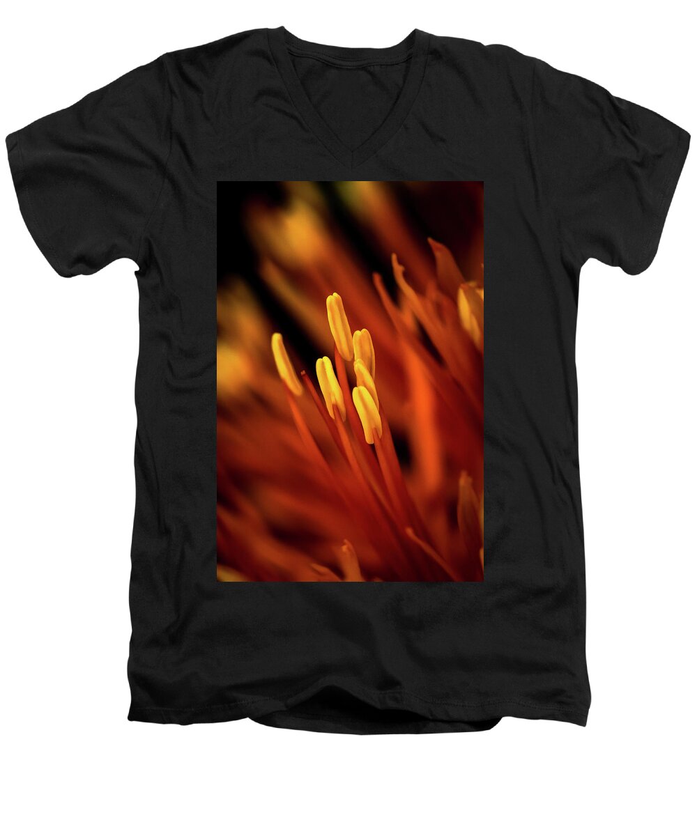 Flower Men's V-Neck T-Shirt featuring the photograph May Flower Anther by Ramabhadran Thirupattur