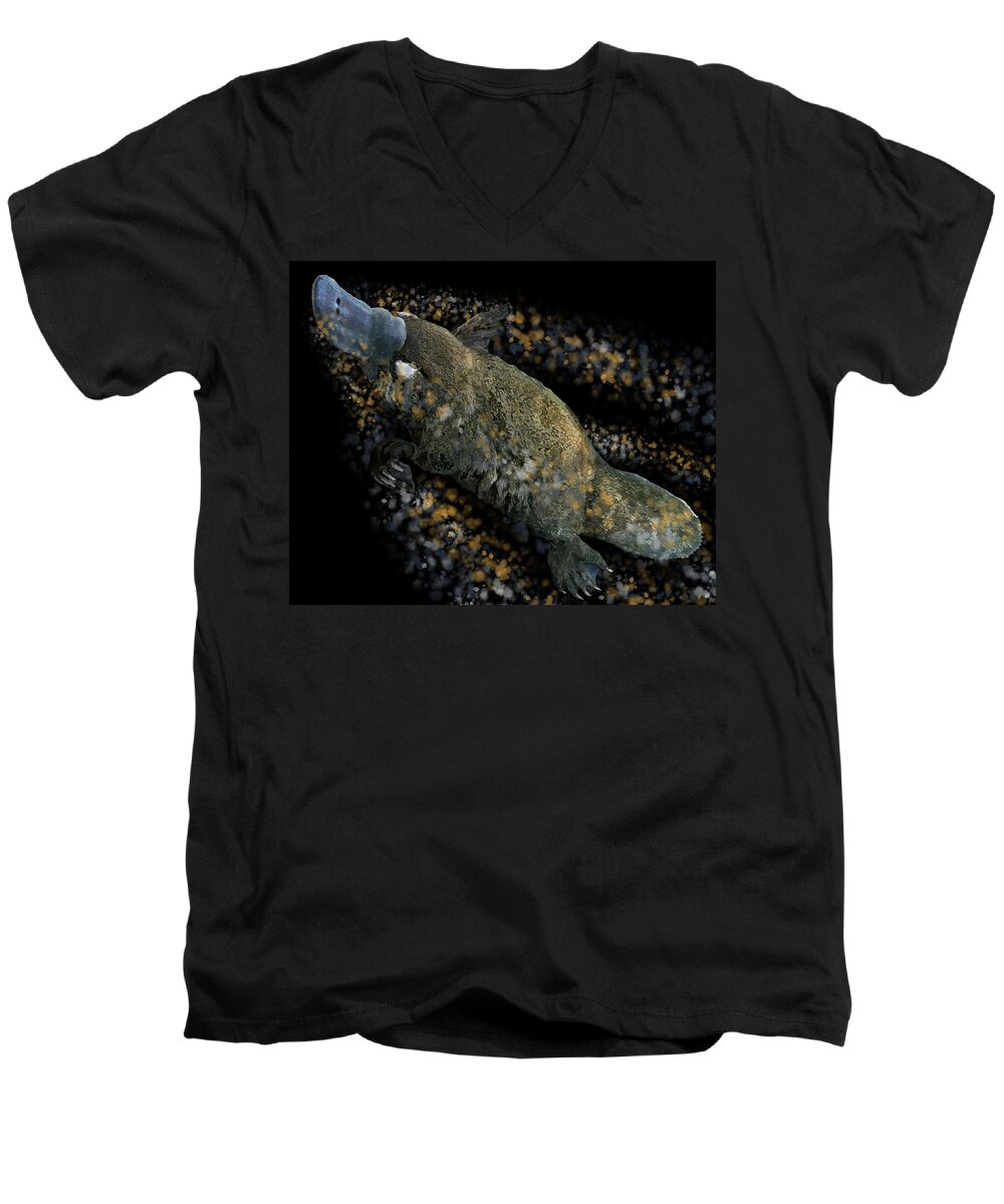 Platypus Men's V-Neck T-Shirt featuring the drawing Platypus at Night by Joan Stratton