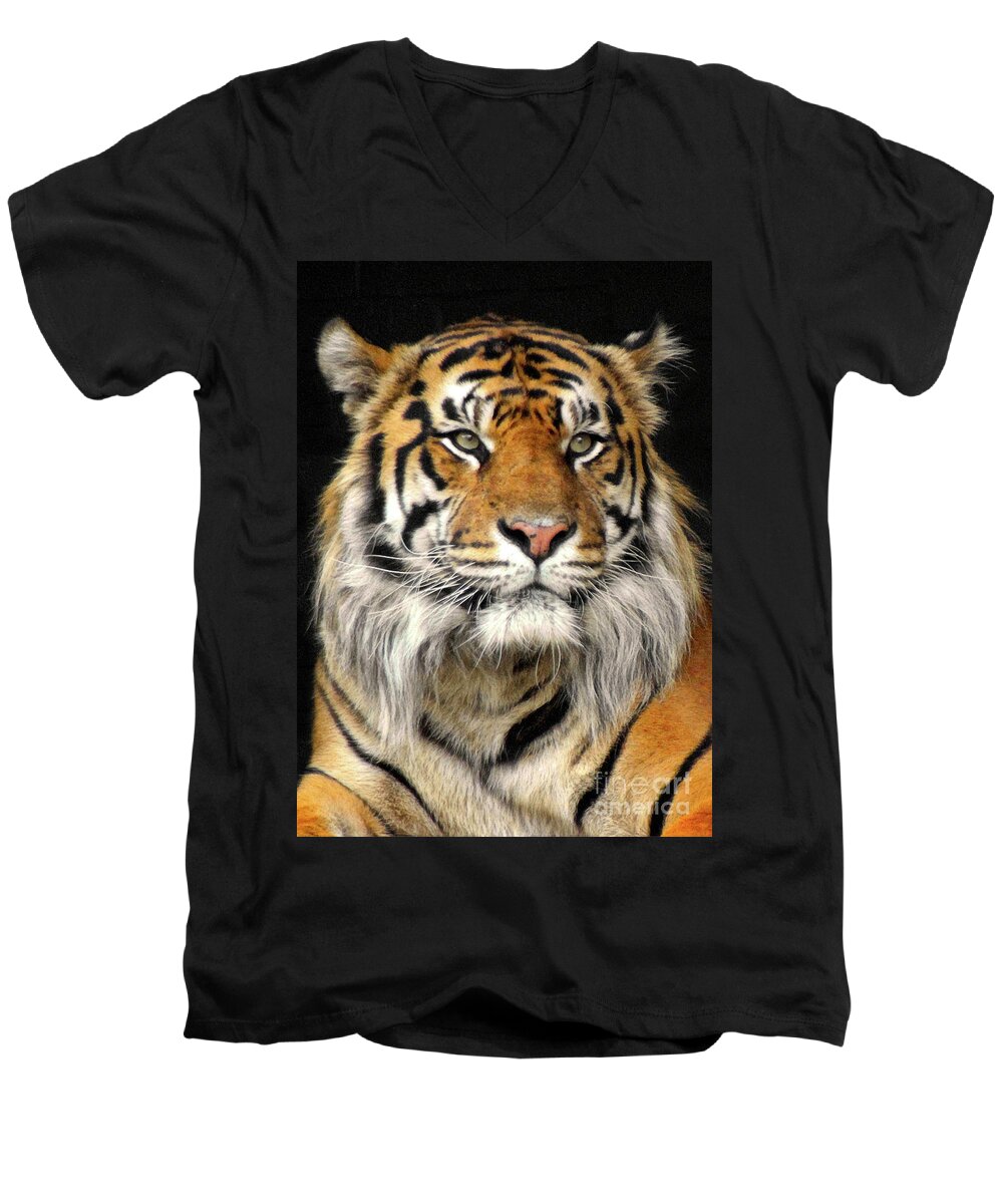 Bengal Men's V-Neck T-Shirt featuring the photograph Bengal Tiger #3 by Doc Braham