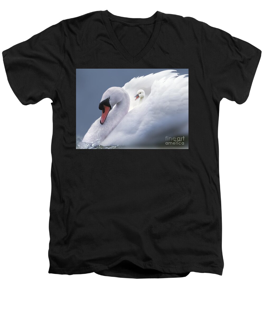 Swan Men's V-Neck T-Shirt featuring the pyrography A Bed of Feathers by Morag Bates