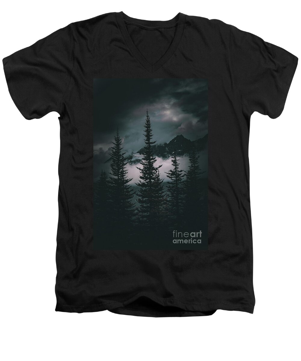 Alaska Forest Men's V-Neck T-Shirt featuring the photograph Alaska Through the Forest by Robert Stanhope