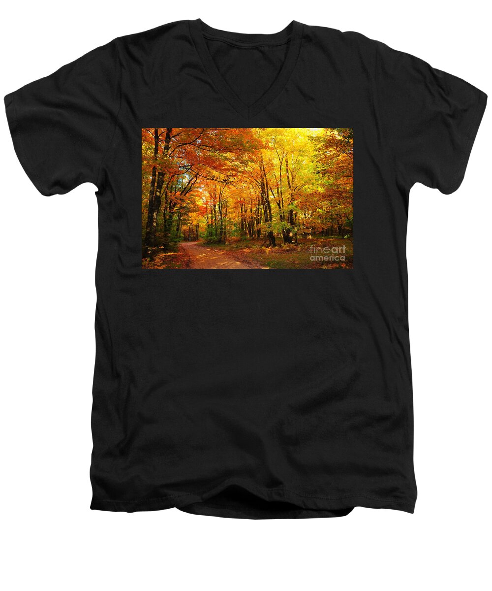 Red Men's V-Neck T-Shirt featuring the photograph Old Logging Road by Terri Gostola